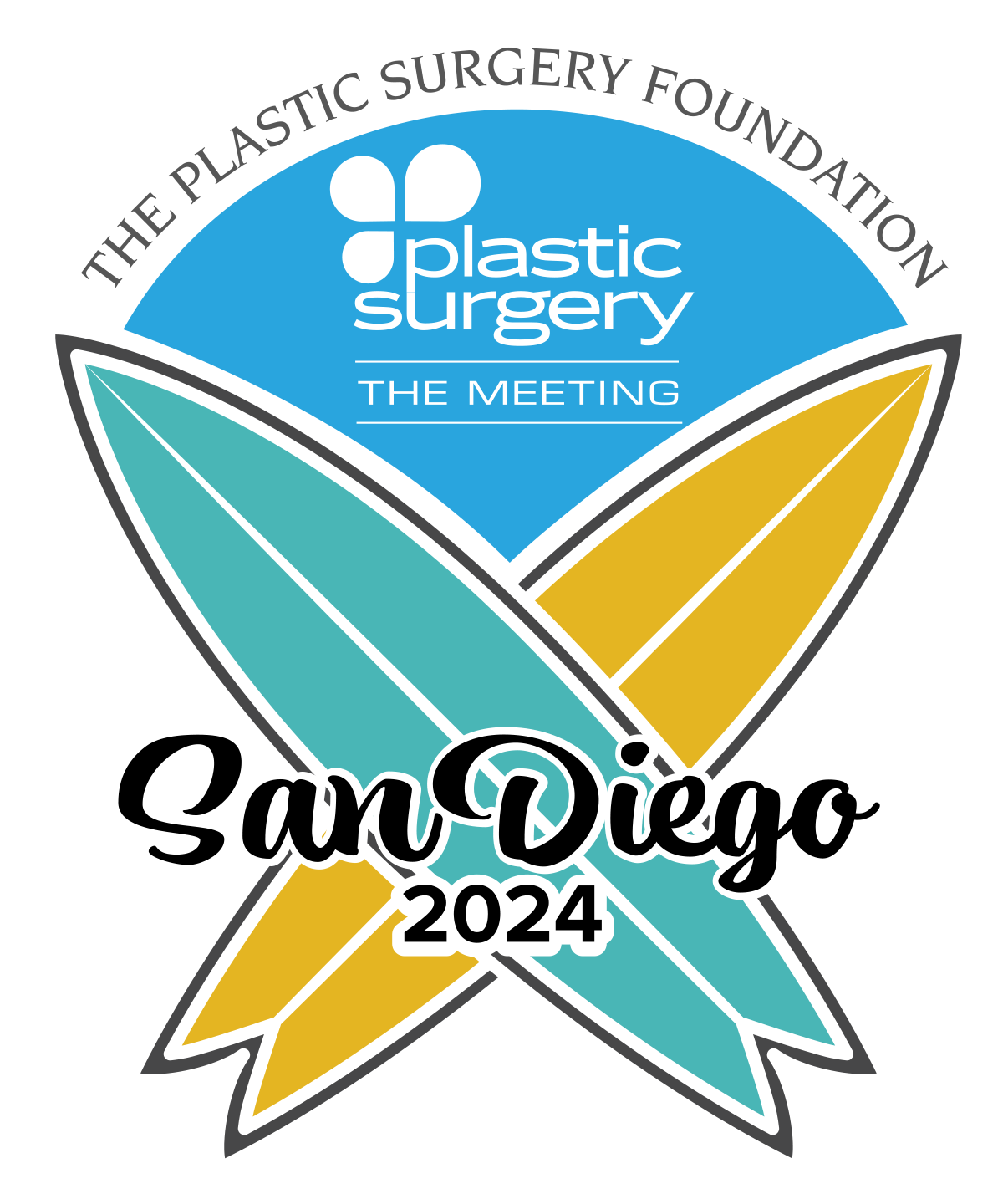 2023 Plastic Surgery The Meeting Pin